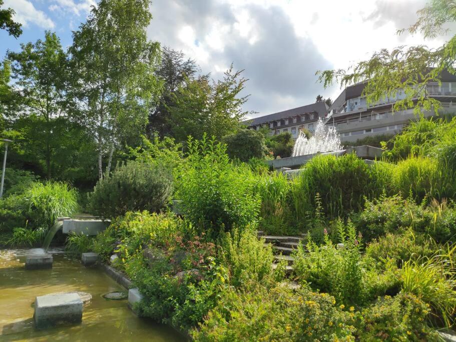 Hideaway Zum Seele Baumeln Lassen ! Apartament Bad Muenstereifel